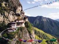 ����� Taj Tashi