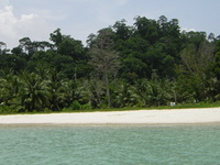 ����� Silver Sand Beach Resort Havelock Island 