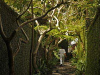 ����� Kayumanis Ubud