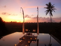 ����� Kupu Kupu Barong Villas & Tree Spa