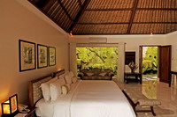 ����� Viceroy