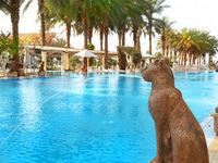 ����� Herods Palace
