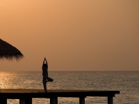 ����� Coco Palm Bodu Hithi