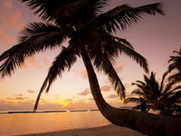 ����� Kurumba Maldives