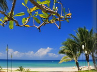 ����� The Surin Phuket (����� ���)