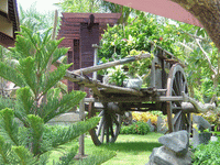 ����� Ocean Star Resort