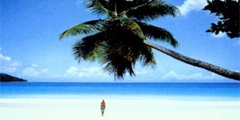 ������� Orient-Travel �� 07.06.2008